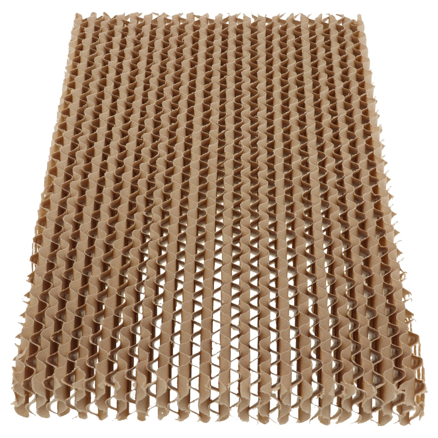 Ariete filtro posteriore umidità ventilatore raffrescatore Ciclope 807 110W 8L